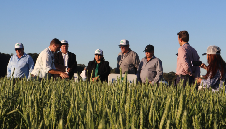 Comitiva de Honduras visita área de produção brasileira de grãos