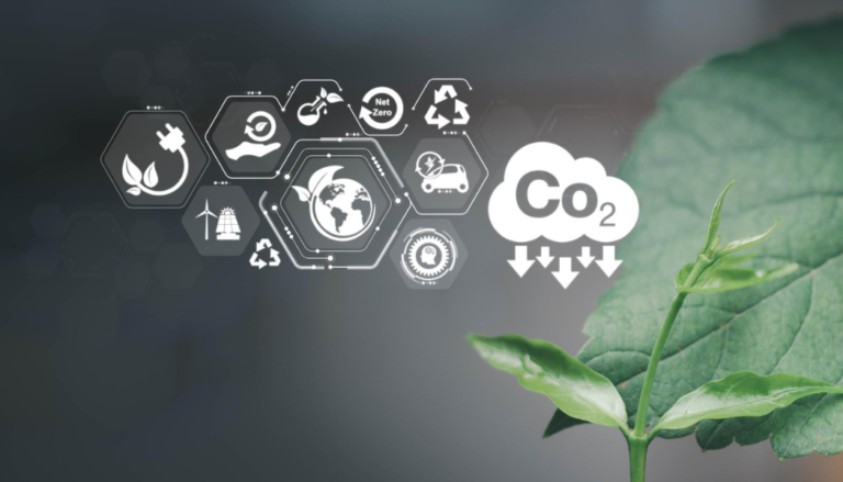 O papel dos créditos de carbono contra mudanças no clima