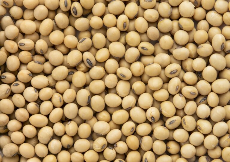 Top view Soybean pattern