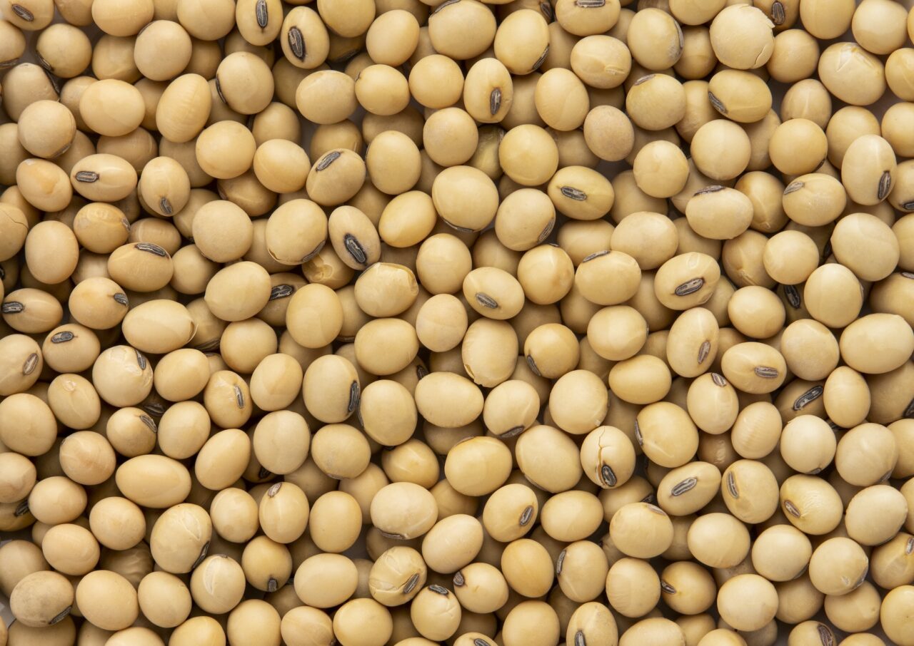 Top view Soybean pattern