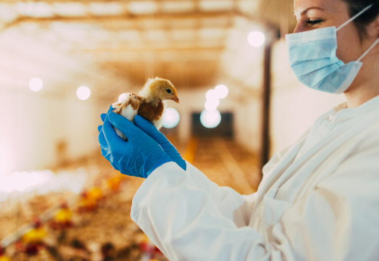 SP: APA seleciona veterinários para Programa de Sanidade