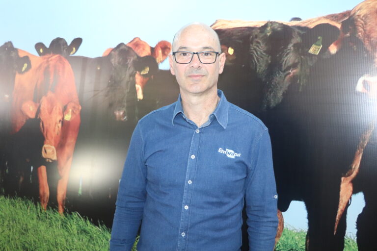 Ferramenta realiza “match perfeito” entre touros reprodutores e vacas matrizes