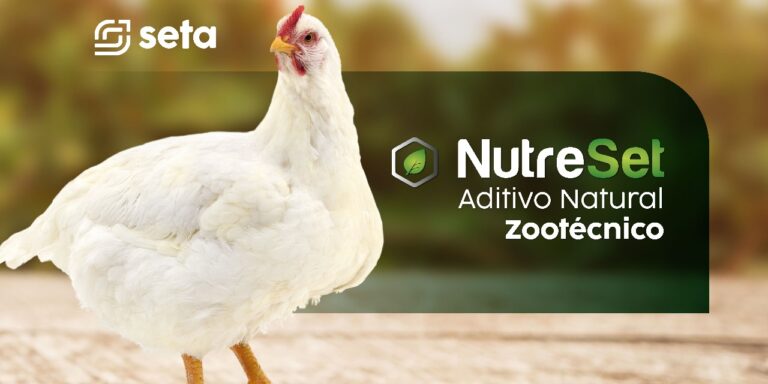 NutreSet PNT auxilia produção de  frangos de corte 