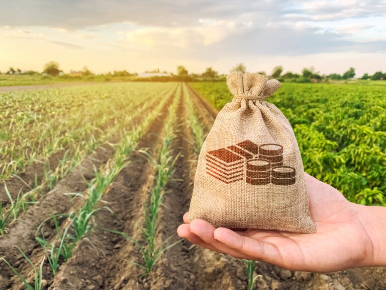 agriculture