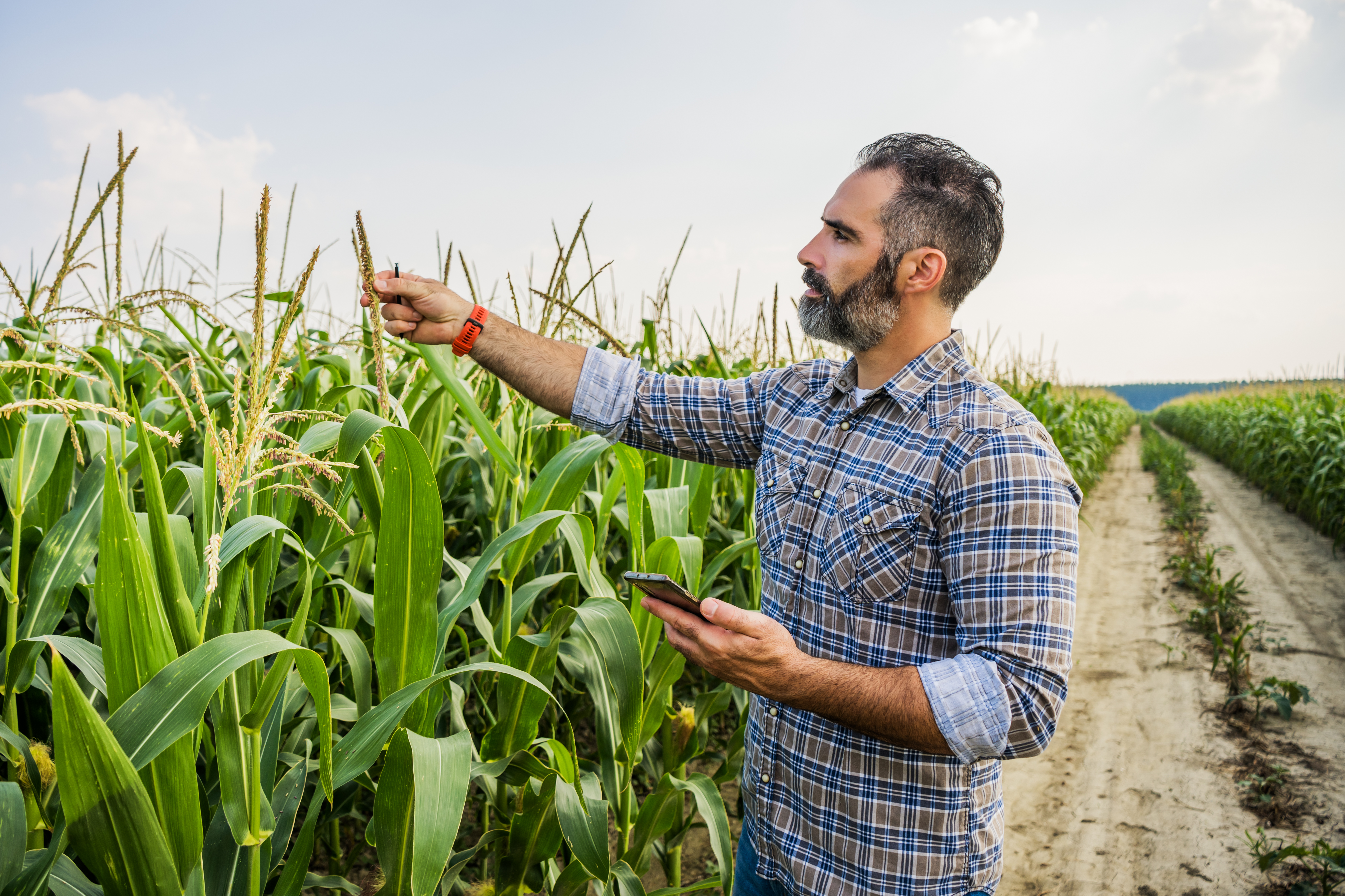 Agronomist