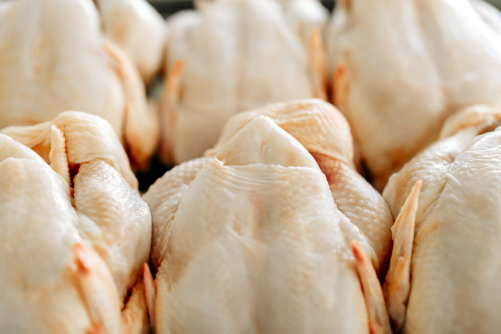 Raw butchered chicken