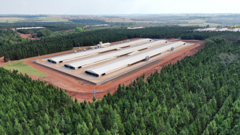 Cobb-Vantress anuncia investimentos robustos no Brasil