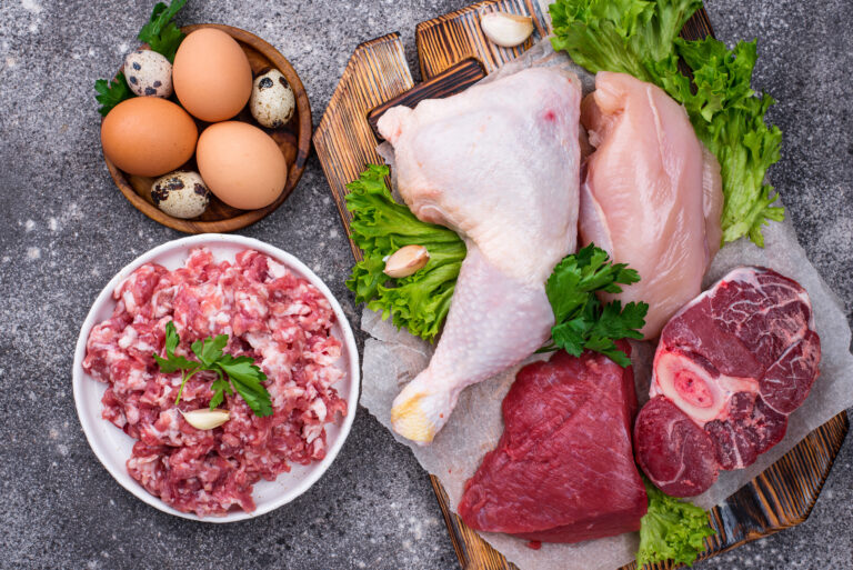 Various raw meat, sources of animal protein