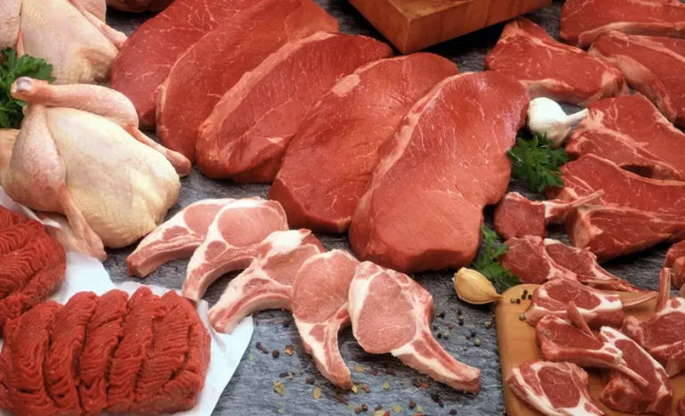Exportações de carnes recuam em julho, mas preços sustentam receita da bovina