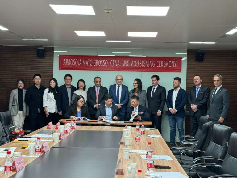 Investimento chinês deve auxiliar na conservação ambiental da pecuária brasileira