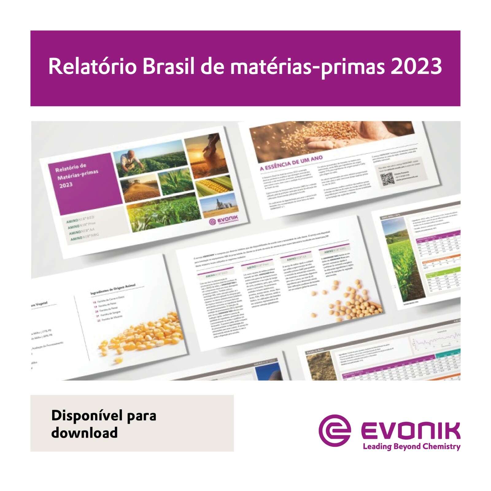 Evonik lança Relatório de Matérias-Primas de 2023