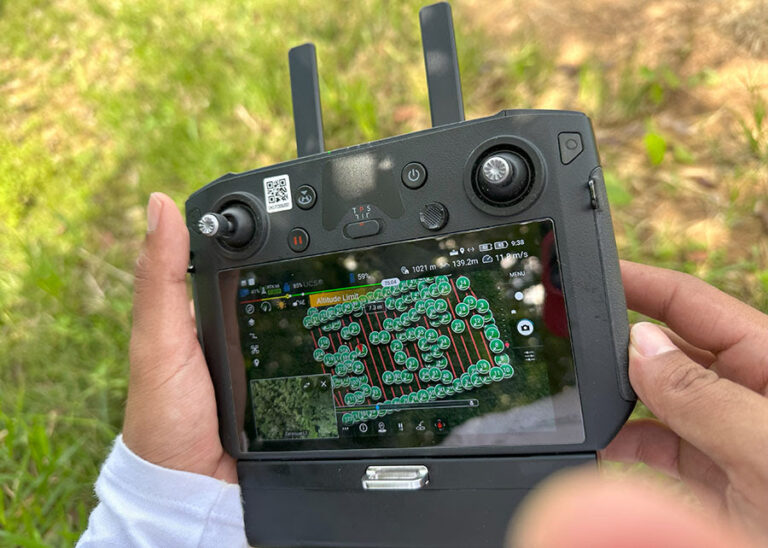 Manejo florestal é transformado por tecnologia com apoio do Fundo JBS pela Amazônia