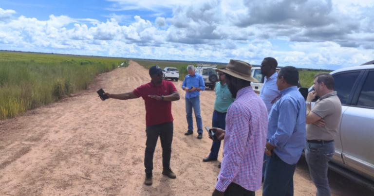 Governo brasileiro impulsiona agricultura e pecuária na África
