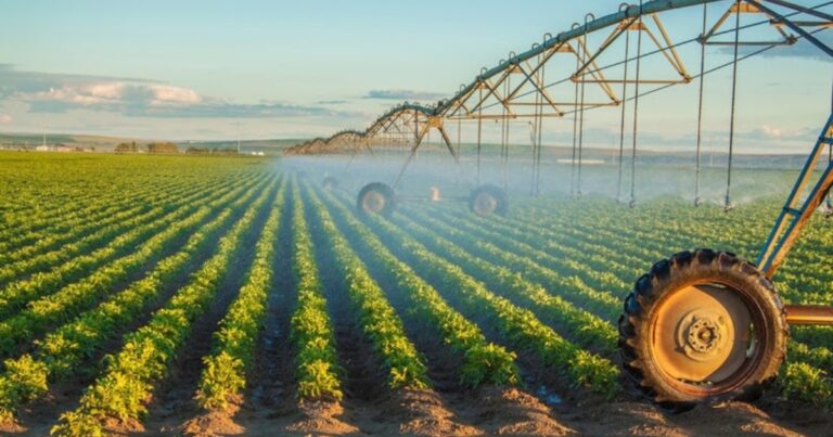 SP registra alta expressiva em programas de investimento do agro