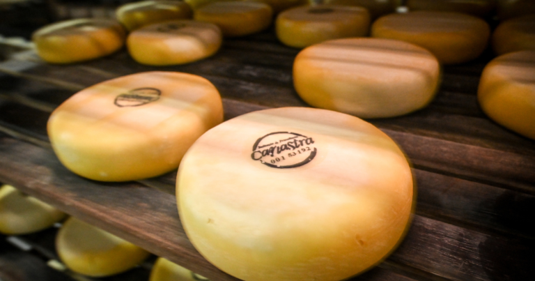 Consumidores do queijo da Canastra tem qualidade assegurada por tecnologia
