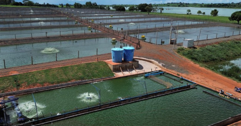 Secretaria Nacional de Aquicultura e entidades locais unem forças para regular a atividade ambiental