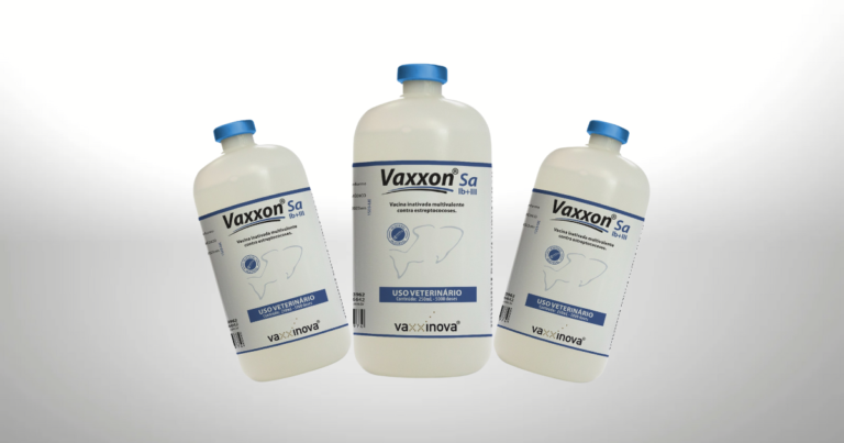 Vaxxinova anuncia primeira vacina aprovada para peixes
