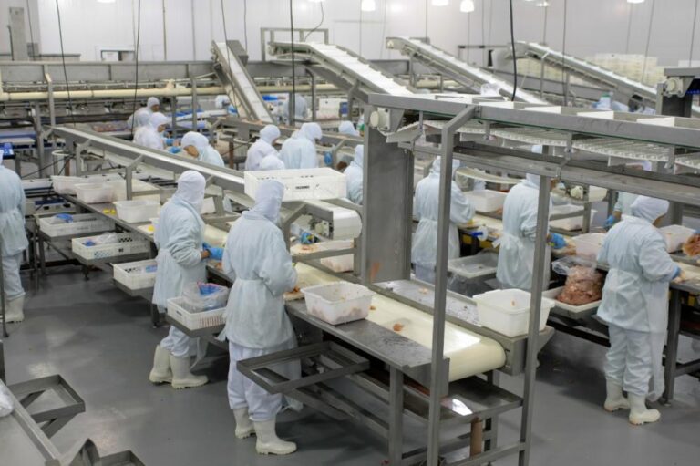 Cadeia produtiva da carne de SP já pode vender a todo o País