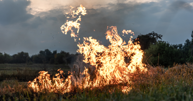 Pecuaristas recebem diretrizes essenciais da Acrimat para prevenir incêndios