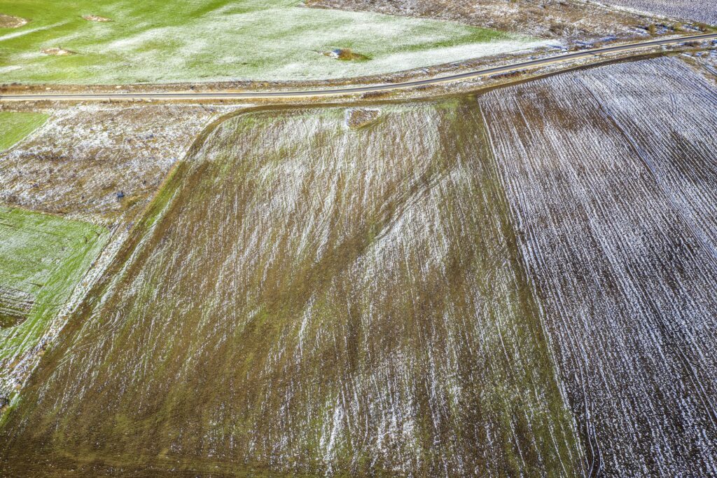 Fields with winter