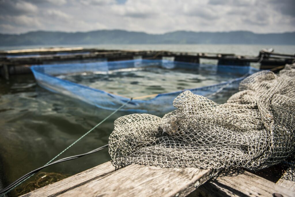 Fish farm in the middle of Lake Toba (Danau Toba), North Sumatra, Indonesia, Asia