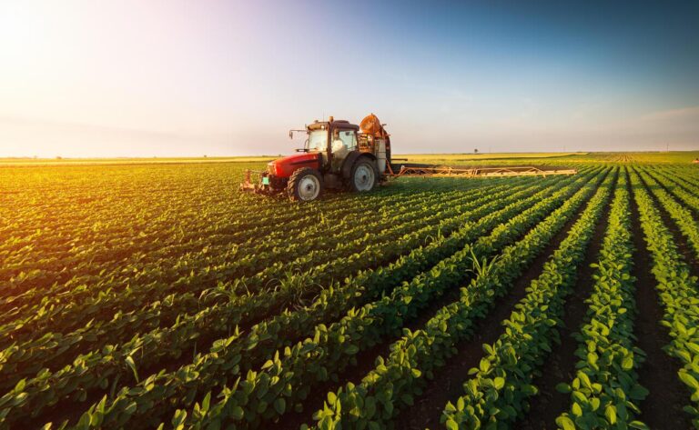 VBP da agropecuária sobe 11,3% e chega a R$ 1,4 trilhão em 2025