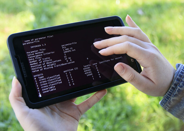 Avaliação genética de bovinos recebe novo software