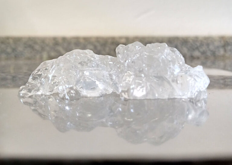 Gelatina de tambaqui: Embrapa desenvolve alternativa eficiente para indústria