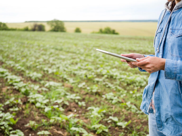 Agro se torna mais rentável com IA