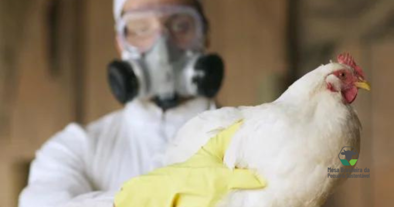 Cenário global da influenza aviária acende alerta para riscos à saúde animal