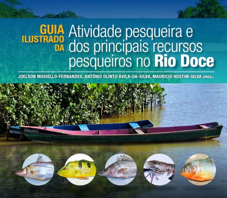 Guia traz análise dos impactos do desastre em Mariana (MG)