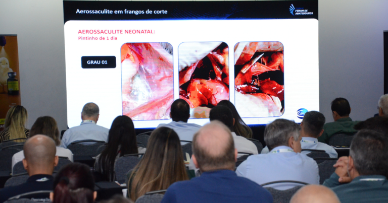 7º Fórum de Abatedouros da Ceva impulsiona avicultura