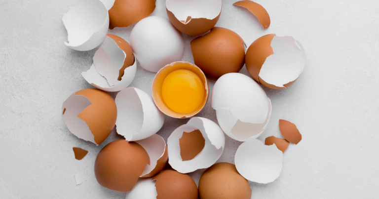 Estudo afirma que consumo de ovos potencializa memória