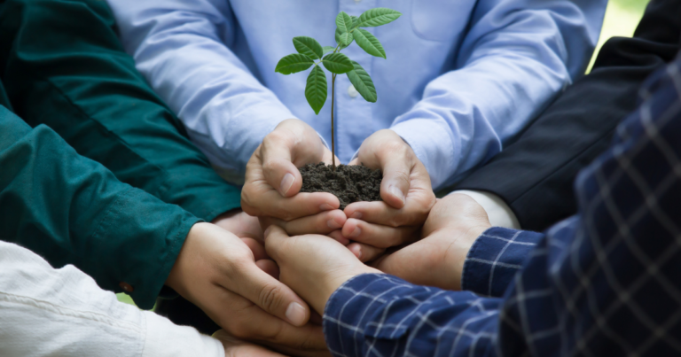 Ferramentas para aliar o agro a sustentabilidade