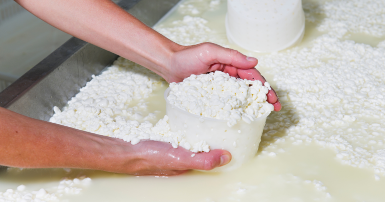Competitividade do queijo em foco no Simpósio de Bovinocultura de Leite