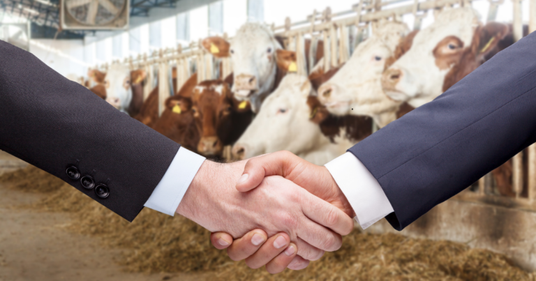 Phibro expande portfólio com aquisição de produtos da Zoetis