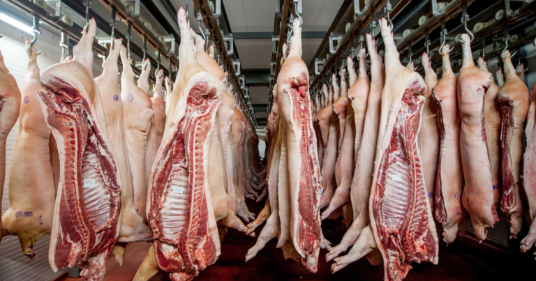 Brasil expande exportação de carnes para a África do Sul