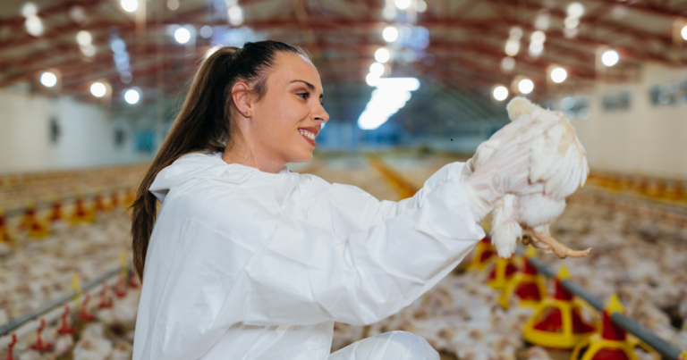 Phibro finaliza aquisição do portfólio de produtos para saúde animal da Zoetis