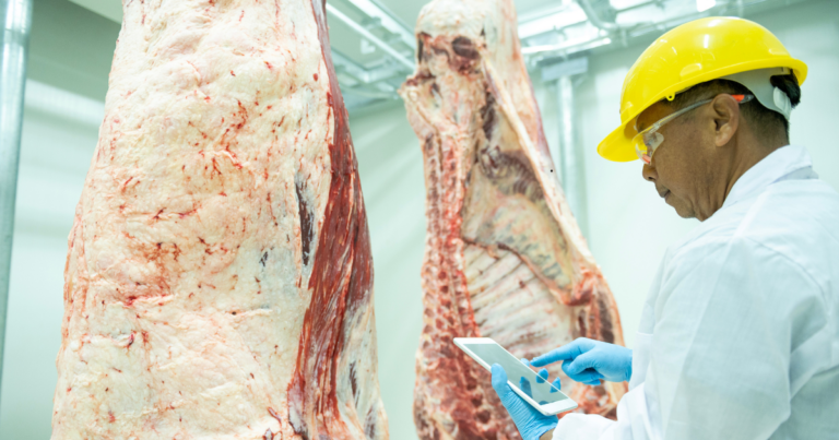 Auditores Fiscais Federais Agropecuários garantem a qualidade da carne brasileira