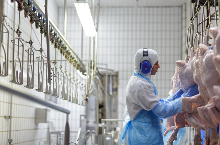 BRF certifica 100% das unidades de abate de aves e suínos em bem-estar animal