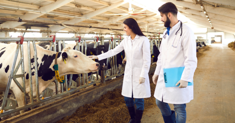 Plano Nacional de Juventude e Sucessão Rural no agro é lançado em Brasília (DF)