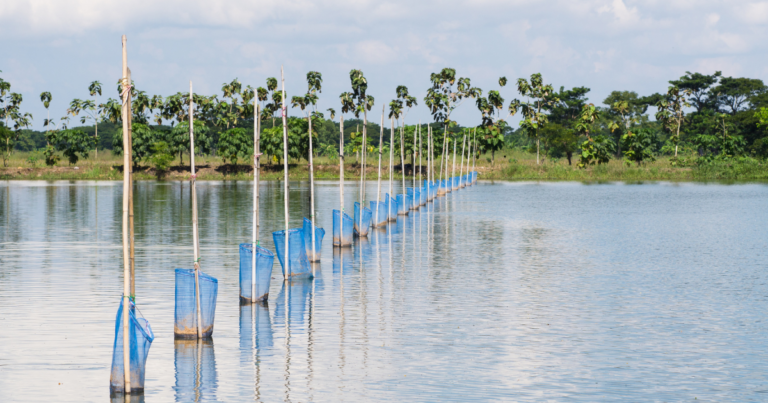 Parceria entre MPA e Itaipu incentiva pesca e aquicultura sustentável do Paraná e do Mato Grosso do Sul