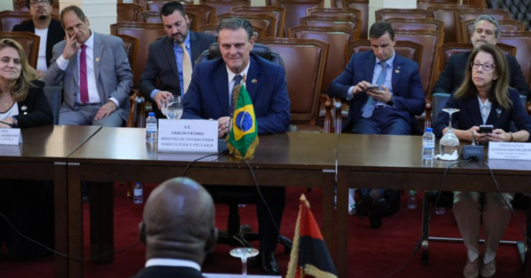 Brasil e Angola estreitam laços na agricultura durante missão do MAPA em Luanda