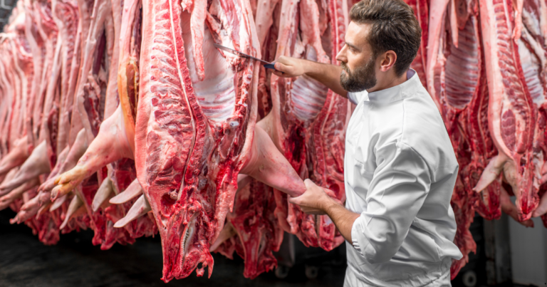 ABPA divulga que exportações de carne suína brasileira cresceram 15,1% em novembro