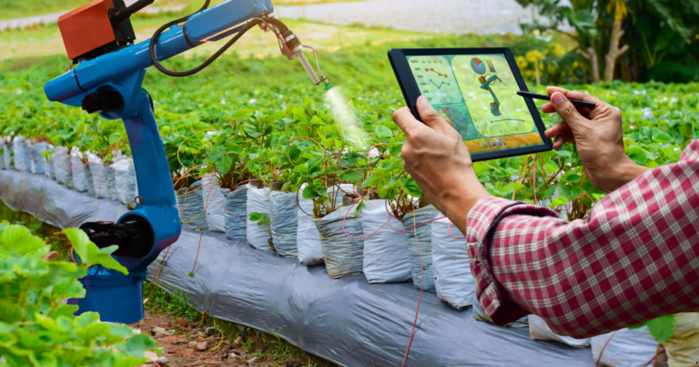 Políticas sustentáveis e tecnologia impulsionam o agronegócio brasileiro em 2024