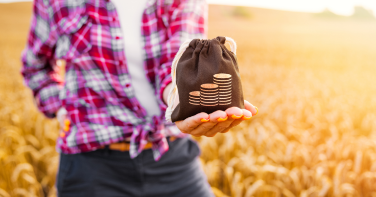 Especialista fala sobre as expectativas para o crédito no agronegócio em 2025