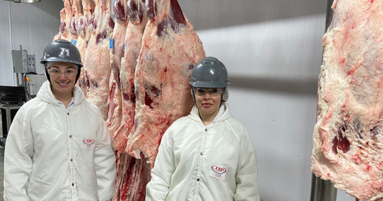 Estudo busca identificar a “impressão digital” da carne bovina gaúcha