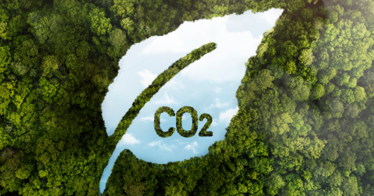 Projeto-piloto da Marfrig utiliza inteligência artificial para medição de carbono nas propriedades rurais