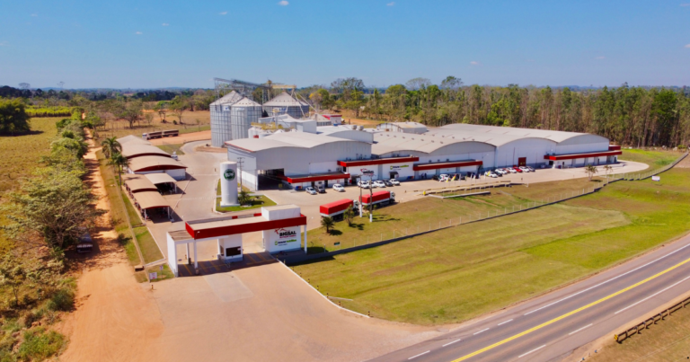 Bigsal impulsiona economia do Norte com inovação e compromisso sustentável