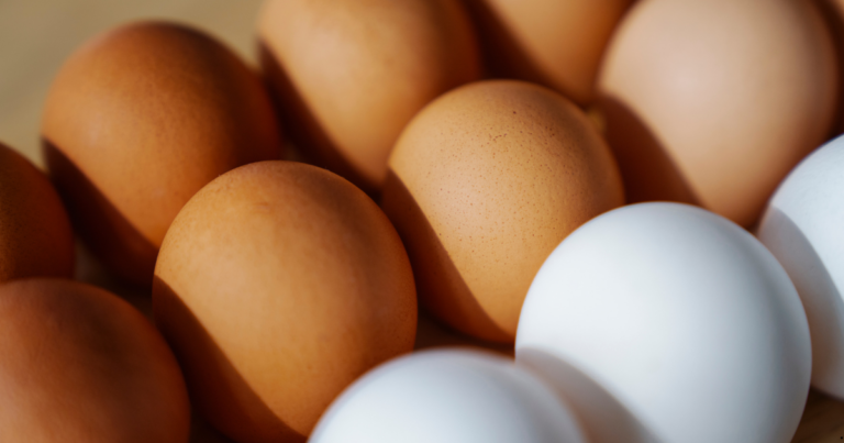 Produção e consumo de ovos devem se manter em alta em 2025